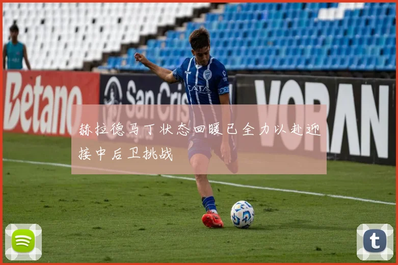 赫拉德马丁状态回暖已全力以赴迎接中后卫挑战