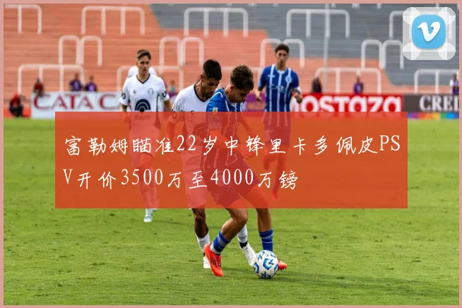 富勒姆瞄准22岁中锋里卡多佩皮PSV开价3500万至4000万镑